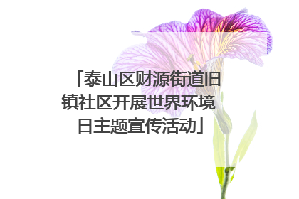 泰山区财源街道旧镇社区开展世界环境日主题宣传活动