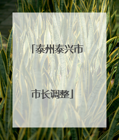 泰州泰兴市市长调整