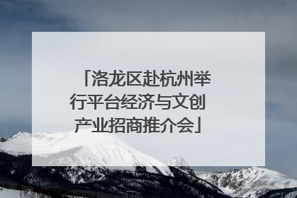 洛龙区赴杭州举行平台经济与文创产业招商推介会