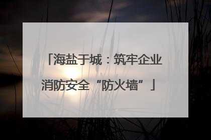 海盐于城：筑牢企业消防安全“防火墙”
