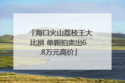 海口火山荔枝王大比拼 单颗拍卖出6.8万元高价