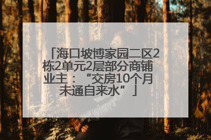 海口坡博家园二区2栋2单元2层部分商铺业主：“交房10个月未通自来水”