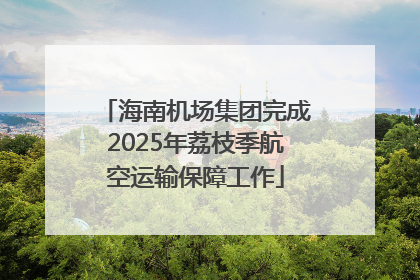 海南机场集团完成2025年荔枝季航空运输保障工作