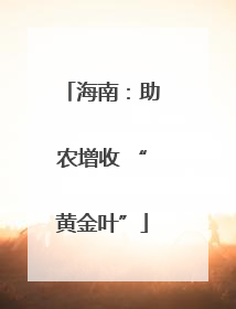 海南：助农增收 “黄金叶”