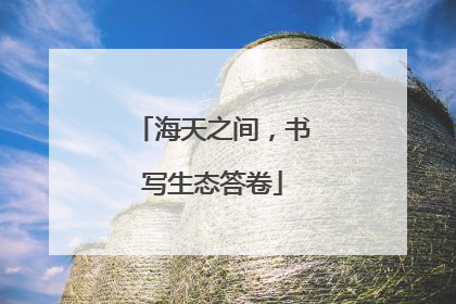 海天之间，书写生态答卷