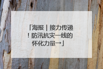 海报｜接力传递！防汛抗灾一线的怀化力量→