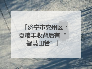 济宁市兖州区：夏粮丰收背后有“智慧田管”