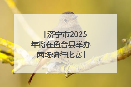 济宁市2025年将在鱼台县举办两场骑行比赛