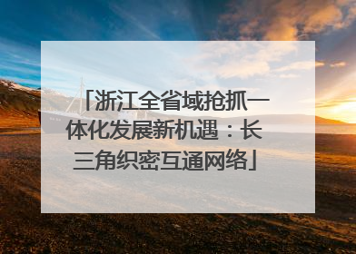 浙江全省域抢抓一体化发展新机遇：长三角织密互通网络