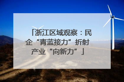 浙江区域观察：民企“青蓝接力”折射产业“向新力”
