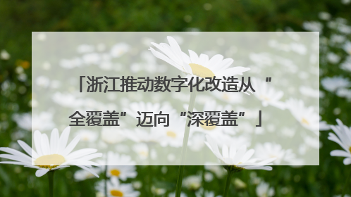 浙江推动数字化改造从“全覆盖”迈向“深覆盖”