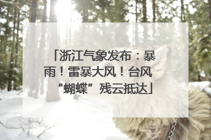 浙江气象发布：暴雨！雷暴大风！台风“蝴蝶”残云抵达