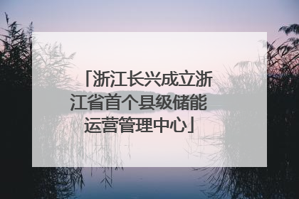 浙江长兴成立浙江省首个县级储能运营管理中心