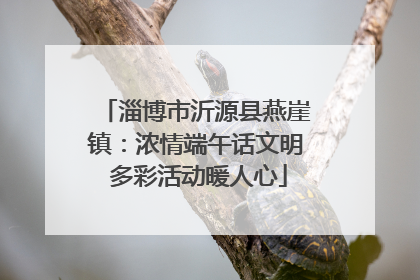 淄博市沂源县燕崖镇：浓情端午话文明 多彩活动暖人心