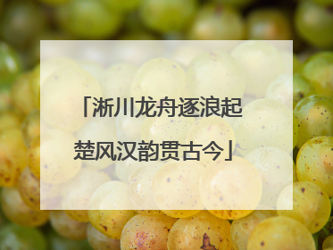 淅川龙舟逐浪起 楚风汉韵贯古今