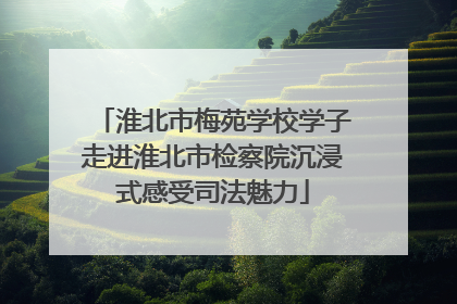 淮北市梅苑学校学子走进淮北市检察院沉浸式感受司法魅力