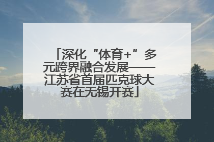 深化“体育+”多元跨界融合发展——江苏省首届匹克球大赛在无锡开赛