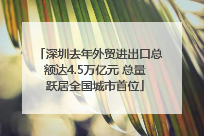 深圳去年外贸进出口总额达4.5万亿元 总量跃居全国城市首位