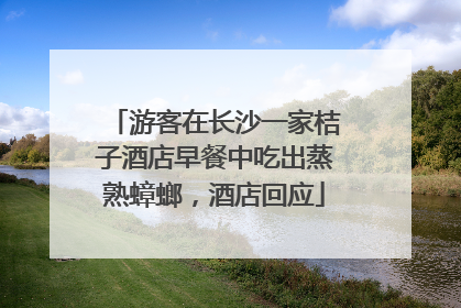 游客在长沙一家桔子酒店早餐中吃出蒸熟蟑螂，酒店回应