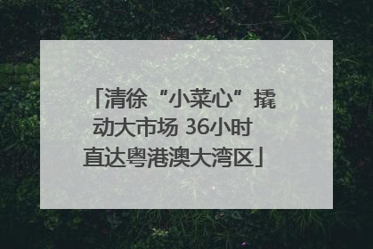 清徐“小菜心”撬动大市场 36小时直达粤港澳大湾区