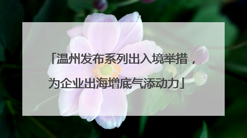 温州发布系列出入境举措，为企业出海增底气添动力
