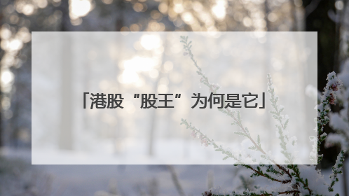 港股“股王”为何是它