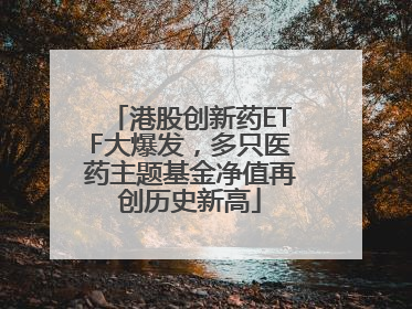 港股创新药ETF大爆发,多只医药主题基金净值再创历史新高