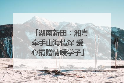 湖南新田：湘粤牵手山海情深 爱心捐赠情暖学子