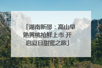 湖南新邵：高山早熟黄桃抢鲜上市 开启夏日甜蜜之旅
