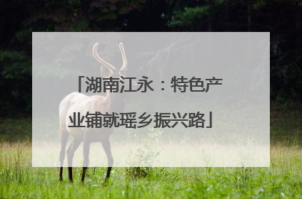 湖南江永：特色产业铺就瑶乡振兴路