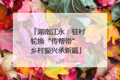 湖南江永：驻村轮换“传帮带” 乡村振兴承新篇