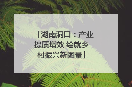 湖南洞口：产业提质增效 绘就乡村振兴新图景