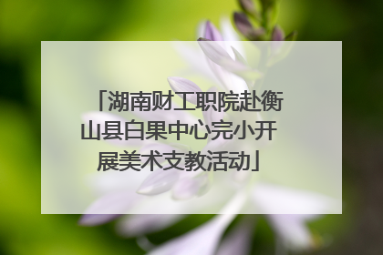 湖南财工职院赴衡山县白果中心完小开展美术支教活动
