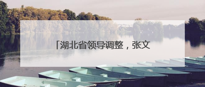 湖北省领导调整，张文兵、黎东辉同日履新