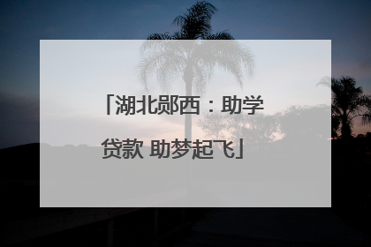 湖北郧西：助学贷款 助梦起飞