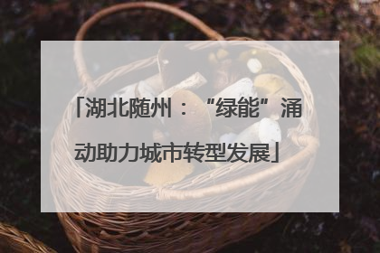 湖北随州：“绿能”涌动助力城市转型发展