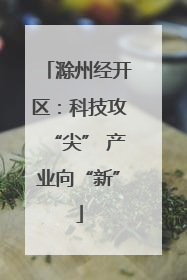 滁州经开区：科技攻“尖” 产业向“新”