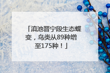 滇池晋宁段生态蝶变，鸟类从89种增至175种！