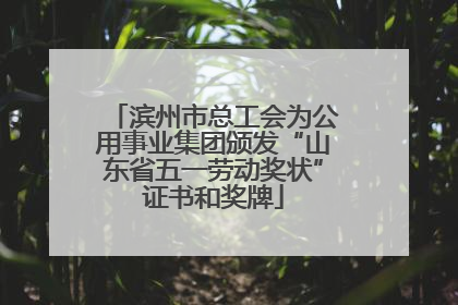 滨州市总工会为公用事业集团颁发“山东省五一劳动奖状”证书和奖牌