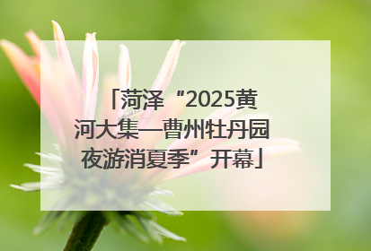 菏泽“2025黄河大集—曹州牡丹园夜游消夏季”开幕