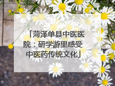 菏泽单县中医医院：研学游里感受中医药传统文化