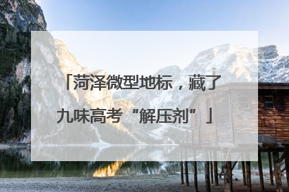 菏泽微型地标，藏了九味高考“解压剂”