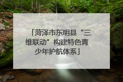菏泽市东明县“三维联动”构建特色青少年护航体系