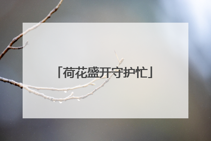 荷花盛开守护忙