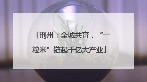 荆州：全城共育，“一粒米”链起千亿大产业