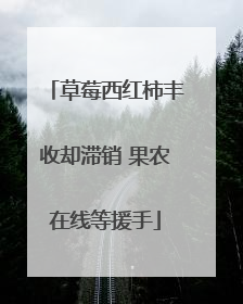 草莓西红柿丰收却滞销 果农在线等援手