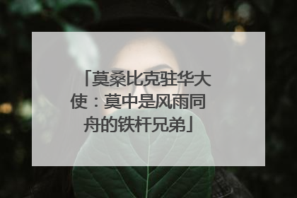 莫桑比克驻华大使：莫中是风雨同舟的铁杆兄弟