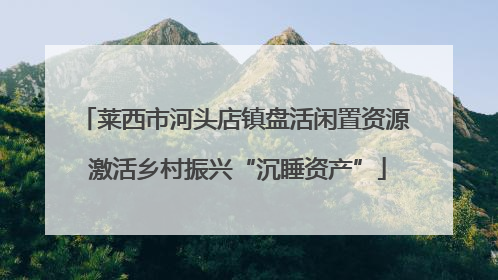 莱西市河头店镇盘活闲置资源 激活乡村振兴“沉睡资产”