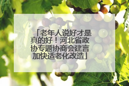 老年人说好才是真的好！河北省政协专题协商会建言加快适老化改造