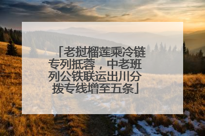 老挝榴莲乘冷链专列抵蓉，中老班列公铁联运出川分拨专线增至五条